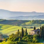 S.Borisov / shutterstock.com