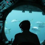 Pim Leijen / shutterstock.com