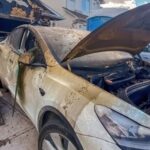 oasisamuel / shutterstock.com