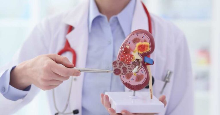 First Pig Kidney Transplant Recipient Buys the Farm Just Months Later