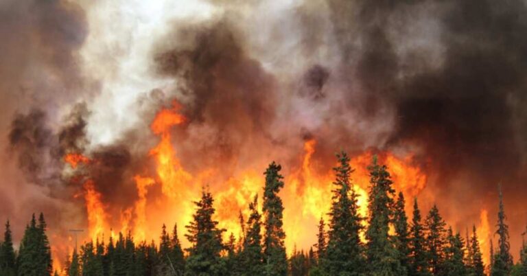 California’s Wildfire Crisis: Texans Answer the Call California’s Wildfire Crisis: Texans Answer the Call