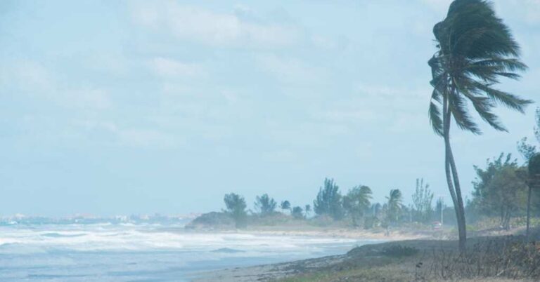 Hurricanes Slam Florida: Coastal Communities Bury Under Mounds of Sand Hurricanes Slam Florida: Coastal Communities Bury Under Mounds of Sand