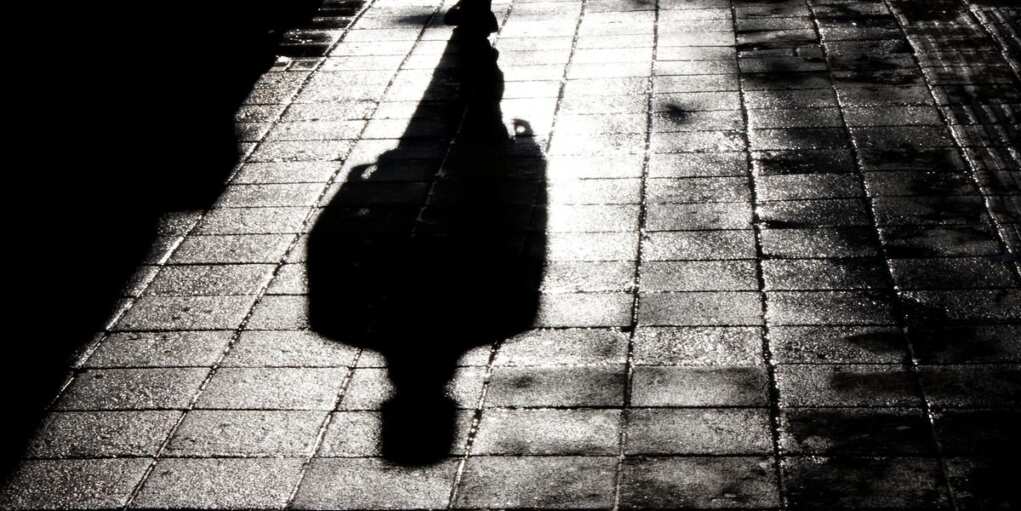 Alex Linch