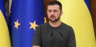 paparazzza / Shutterstock.com