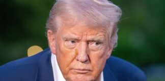 Joey Sussman / Shutterstock.com