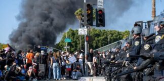 Sua Sponte Photography