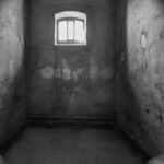 Trump Breaks Out The Ultimate Punishment For D.C. Criminals R. Wellen Photography