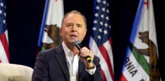 Sheila Fitzgerald / Shutterstock.com