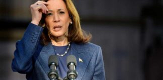 OogImages / Shutterstock.com