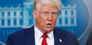 Joshua Sukoff / Shutterstock.com