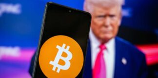 Victor Sanchez G / Shutterstock.com