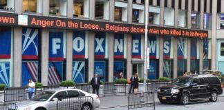 Bumble Dee / Shutterstock.com