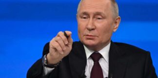 miss.cabul / Shutterstock.com